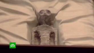 Уфолог принес в Конгресс Мексики «мумии инопланетян»