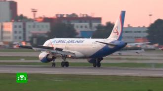 СМИ: пилот севшего в поле под Новосибирском самолета раскрыл детали инцидента