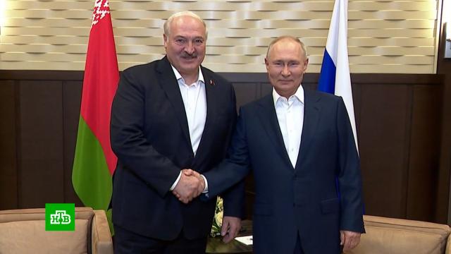 Украина, КНДР, США и СВО: о чем говорили Путин и Лукашенко в Сочи