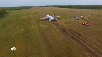Посадка на пшеничное поле: что ждет пилотов Airbus A320 после расследования