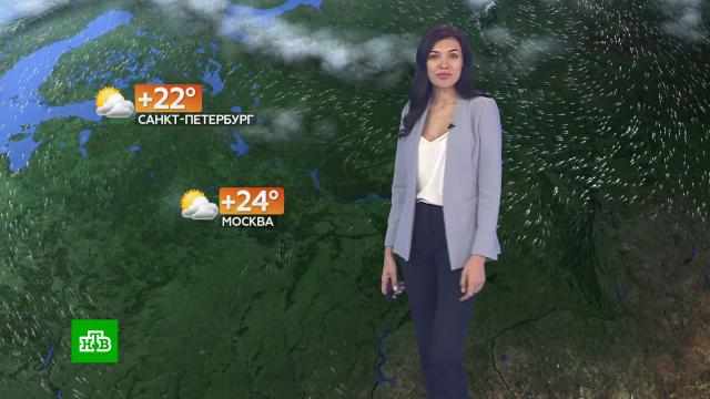 Прогноз погоды на 22 сентября.погода, прогноз погоды.НТВ.Ru: новости, видео, программы телеканала НТВ