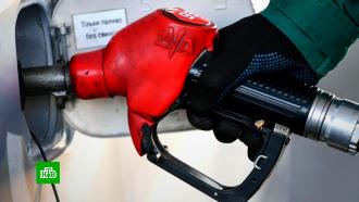 Минэнерго: запрет на экспорт бензина и дизеля введен бессрочно
