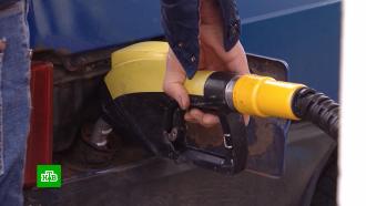 Биржевые цены на бензин и дизель после запрета на экспорт резко упали 