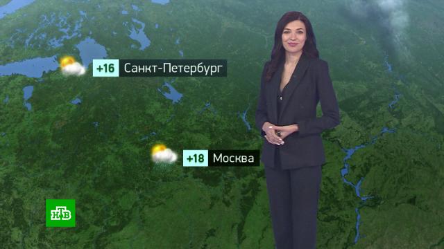 Утренний прогноз погоды на 25 сентября.погода, прогноз погоды.НТВ.Ru: новости, видео, программы телеканала НТВ