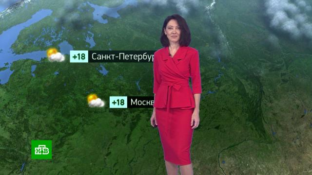 Утренний прогноз погоды на 26 сентября.погода, прогноз погоды.НТВ.Ru: новости, видео, программы телеканала НТВ