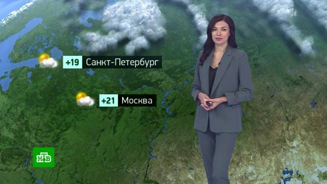 Утренний прогноз погоды на 28 сентября.погода, прогноз погоды.НТВ.Ru: новости, видео, программы телеканала НТВ