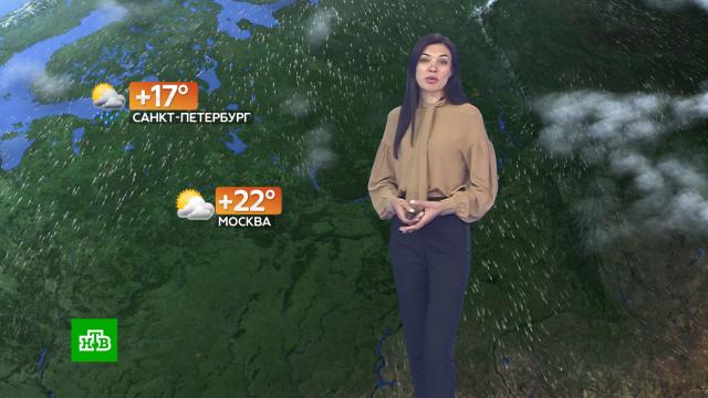 Прогноз погоды на 30 сентября.погода, прогноз погоды.НТВ.Ru: новости, видео, программы телеканала НТВ