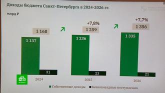 В Смольном утвердили проект бюджета Петербурга на 2024 год