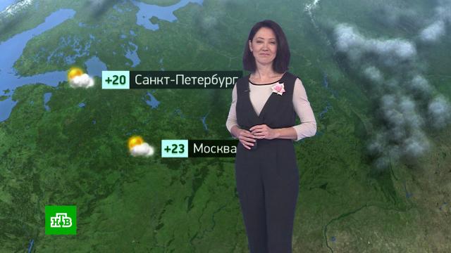 Утренний прогноз погоды на 29 сентября.погода, прогноз погоды.НТВ.Ru: новости, видео, программы телеканала НТВ