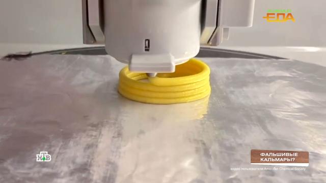 Кольца кальмара на 3D-принтере, срок за контрабанду кедровых орехов и эффект от пекана в рационе.НТВ.Ru: новости, видео, программы телеканала НТВ