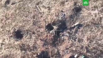 Окопы завалены телами: кадры уничтоженных позиций ВСУ под Клещеевкой 