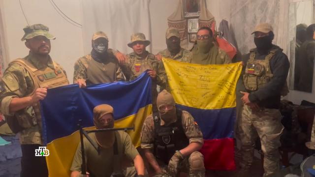 Почему Запад скрывает количество погибших на Украине наемников
