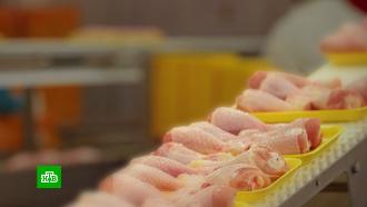 ФАС направила запросы производителям мяса курицы по поводу обоснованности цен 