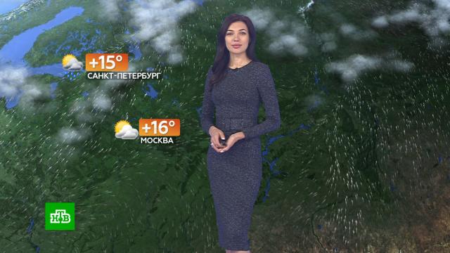 Прогноз погоды на 3 октября.погода, прогноз погоды.НТВ.Ru: новости, видео, программы телеканала НТВ
