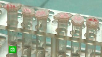 В Ленобласти закончилась вакцина от кори.НТВ.Ru: новости, видео, программы телеканала НТВ