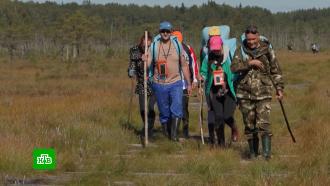 Адреналин и тишина: российские туристы покоряют знаменитое белорусское болото
