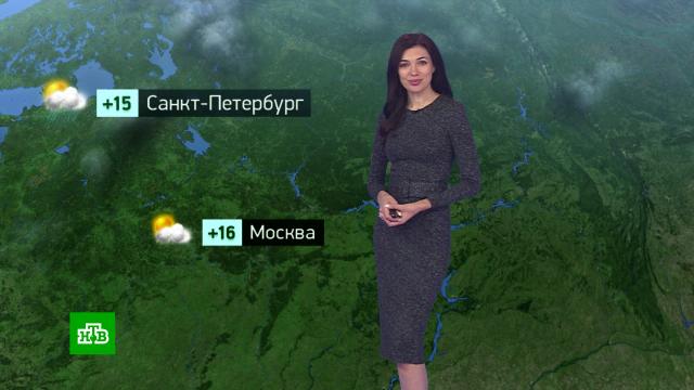 Утренний прогноз погоды на 3 октября.погода, прогноз погоды.НТВ.Ru: новости, видео, программы телеканала НТВ