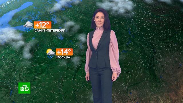 Прогноз погоды на 5 октября.погода, прогноз погоды.НТВ.Ru: новости, видео, программы телеканала НТВ
