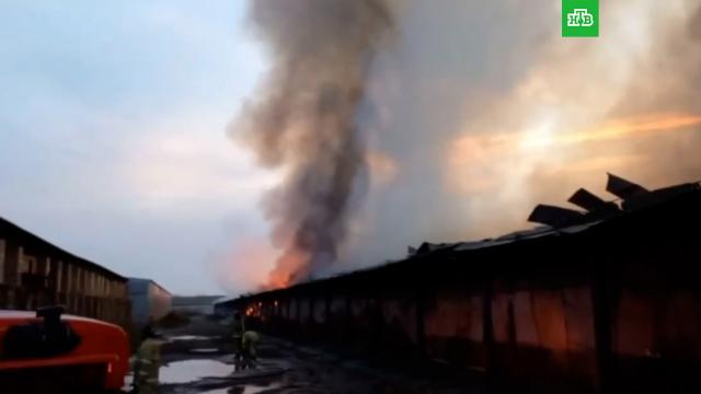 Мощный взрыв на складе пиротехники в Таиланде: погибли 9 человек, больше ста ранены