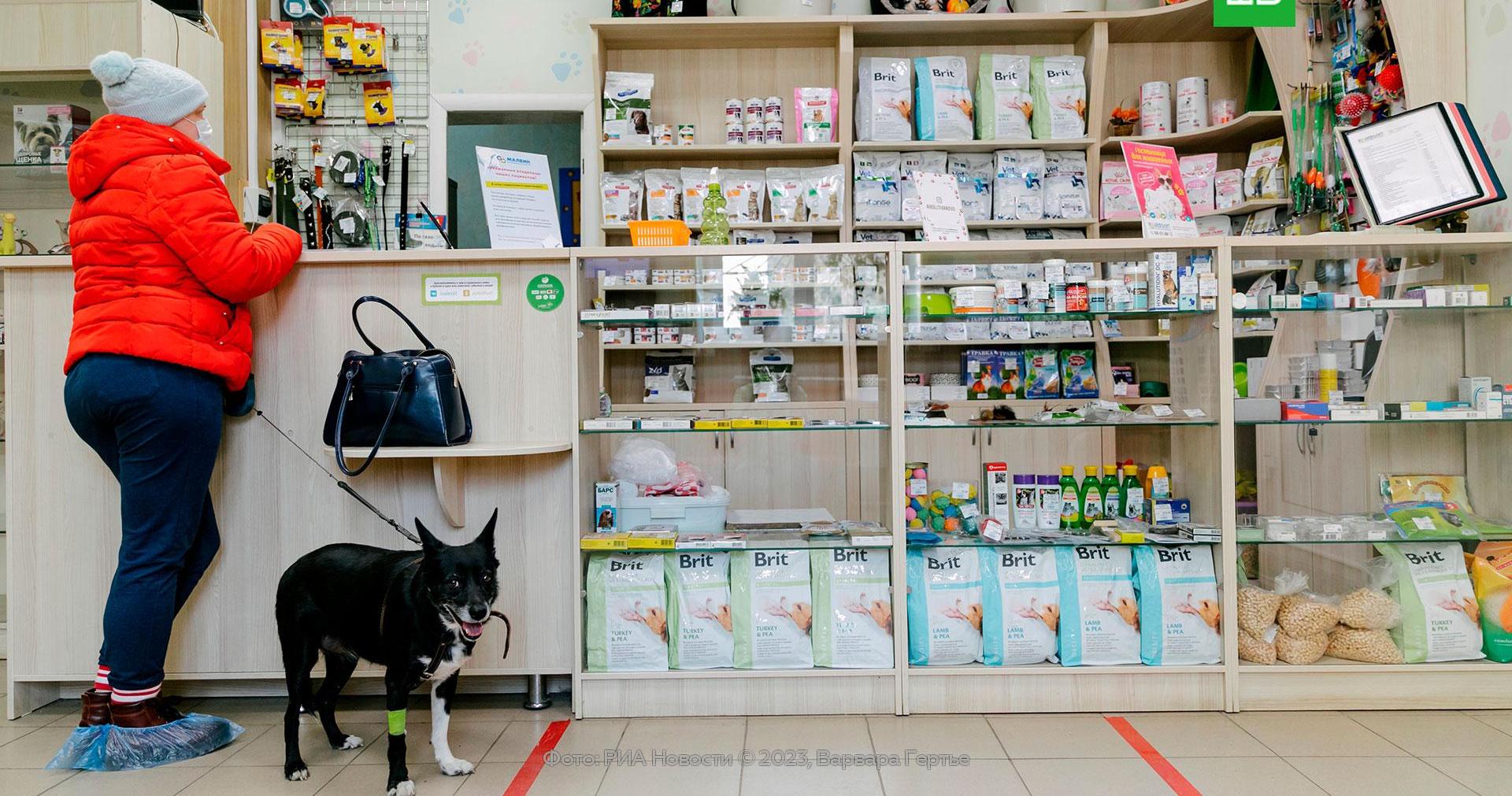 Ветеринарная аптека лесная. Корм для домашних животных в магазине. Ветеринарная аптека для сельхоз животных. Ветаптека для сельхоз животных. Ветаптека рост махачкала.