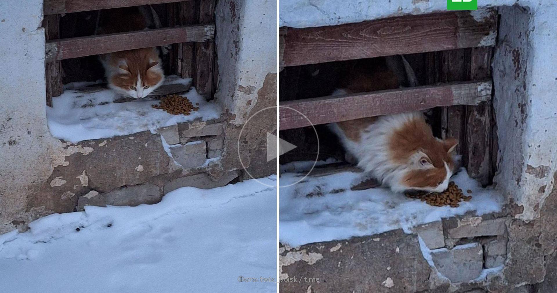 как найти похожие каналы