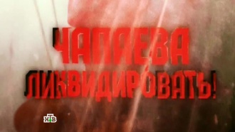 «Чапаева ликвидировать!».«Чапаева ликвидировать!».НТВ.Ru: новости, видео, программы телеканала НТВ
