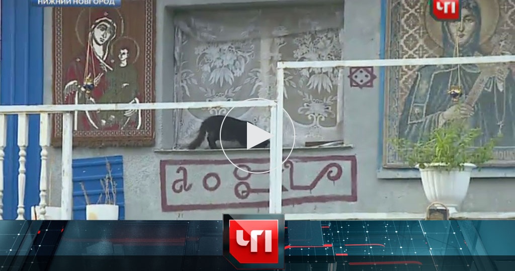 Особо опасен чп нтв. Чп 16. Драка чемпионат. Чп 16. Чп 16.