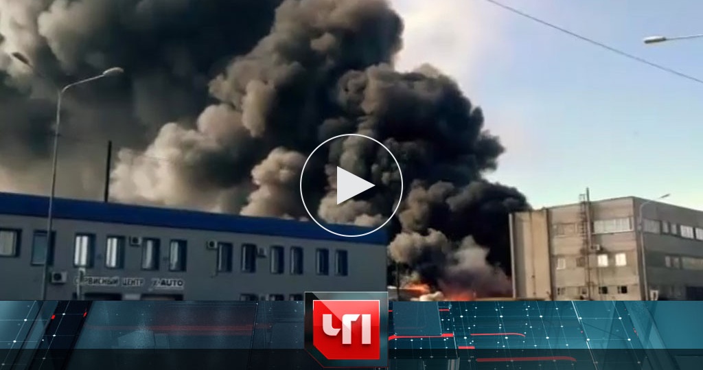 Чп 27. Распылил баллончик в лицо полицейскому. Чп 27. Чп 27. Чп 27.