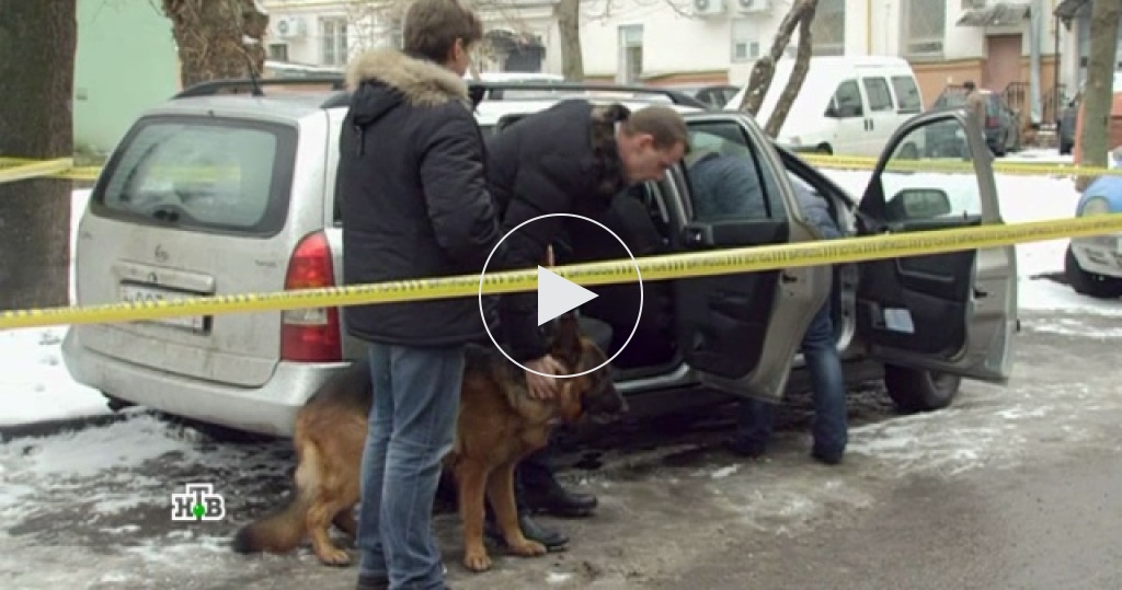 алексей моисеев мухтар новый след. возвращение мухтара похищение василисы. возвращение мухтара 2 похищение. мухтар похищения. мухтар нтв.