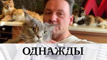 Программа «Однажды» с участием Александра Олешко на телеканале НТВ (2021)