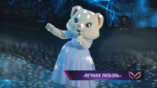 Котик — «Вечная любовь».НТВ.Ru: новости, видео, программы телеканала НТВ