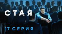 Сезон  серия 17