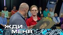 Выпуск от 4 ноября 2022 года. Жди меня (НТВ).