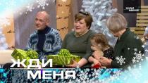 Новогодние чудеса в студии «Жди меня» (НТВ).