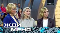 Выпуск от 31 марта 2023 года «Жди меня» (НТВ).