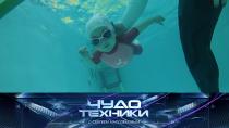 Насколько опасна вода в бассейне, как экономить с бытовой техникой и какие гаджеты улучшают сон.