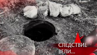 Выпуск от 21 мая 2023 года.«Убитая мечта».НТВ.Ru: новости, видео, программы телеканала НТВ