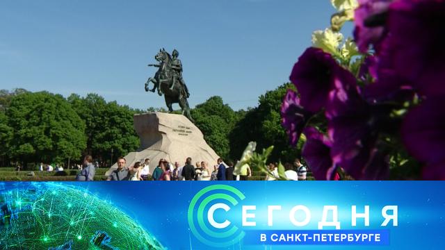 Сегодня в Санкт-Петербурге.НТВ.Ru: новости, видео, программы телеканала НТВ