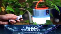 Походные приспособления, суперспособности от предков и тест автоматического кошачьего туалета.