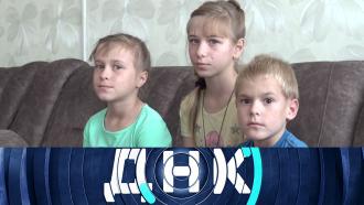 Выпуск от 5 сентября 2023 года.«Два отца на троих сирот».НТВ.Ru: новости, видео, программы телеканала НТВ