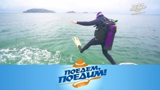 Приморье: подводная прогулка, золото Колчака, самый южный остров России и рыбацкая каша