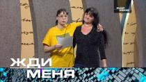 Выпуск от 22 сентября 2023 года «Жди меня» (НТВ).