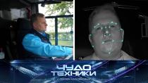 Нейросети-помощники, экзотика в огороде и проверка тапок-тренажеров.