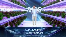 Вертикальные фермы, обзор увлажнителей воздуха и лыжи для колясок.
