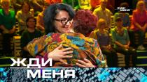 Жди меня (НТВ). Выпуск от 31 мая 2024 года.