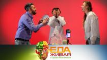 Влияет ли громкий звук на тесто, как выбрать лучшие колбаски для гриля и в чем реальная польза петрушки?